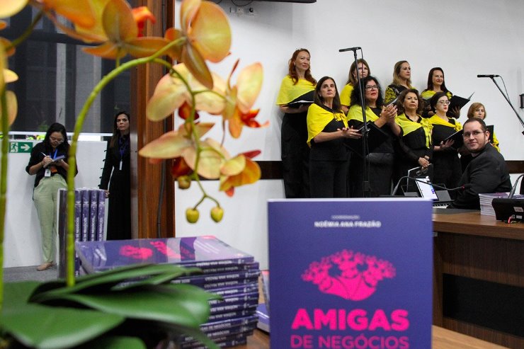 Imagem: A obra tem 161 páginas e reúne a trajetória de 16 mulheres sul-mato-grossenses