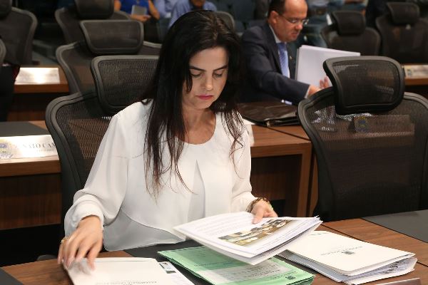 Imagem: A proposta é de autoria da deputada Mara Caseiro 