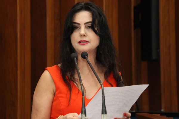 Imagem: A deputada estadual Mara Caseiro é a propositora da sessão solene