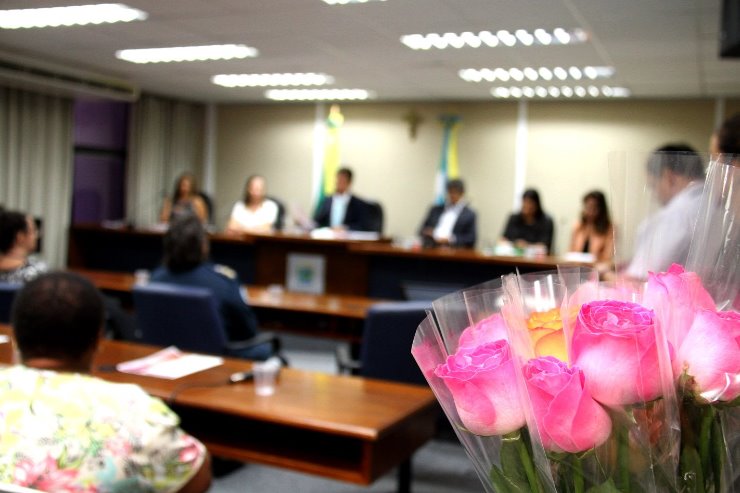 Imagem: Reunião da Frente Parlamentar abriu espaço para discutir violência contra a mulher; no final, foram distribuídas rosas