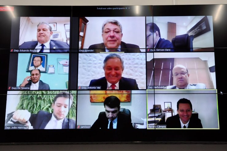 Imagem: Segunda sessão plenária da semana foi realizada por videoconferência