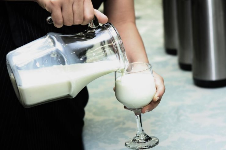 Imagem: Cadeia produtiva do leite é a segunda maior da indústria alimentícia no Brasil