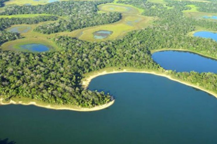Imagem: Lei de autoria do deputado Renato Câmara tem o objetivo de chamar a atenção da sociedade sobre a importância da biodiversidade do Pantanal para o equilíbrio ambiental do Estado