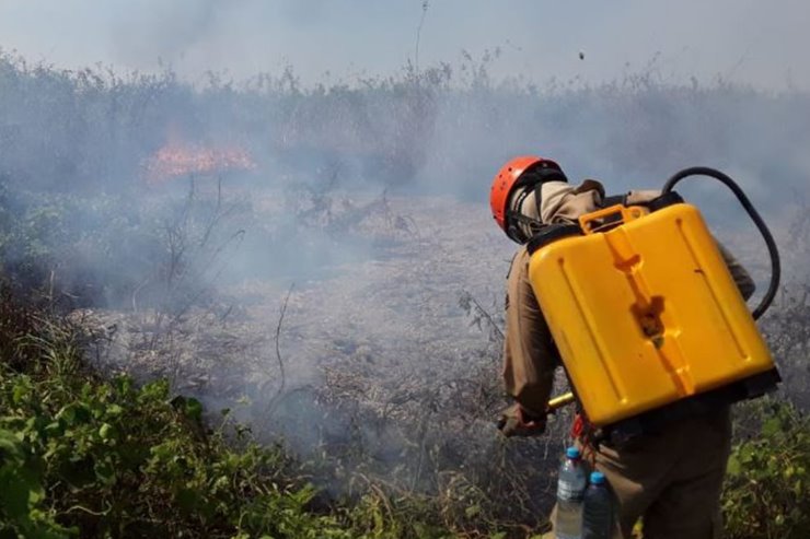 Imagem: Atuação constante do bombeiro militar no combate às queimadas no Estado
