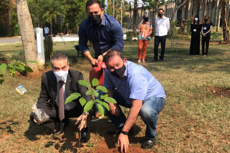 Imagem: Em comemoração ao Dia da Árvore, os deputados fizeram o plantio de mudas de ipê no jardim da ALEMS