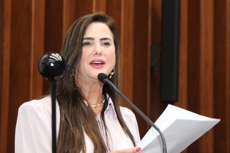 Imagem: A líder do Governo na Casa de Leis, Mara Caseiro, destacou o importante papel dos parlamentares