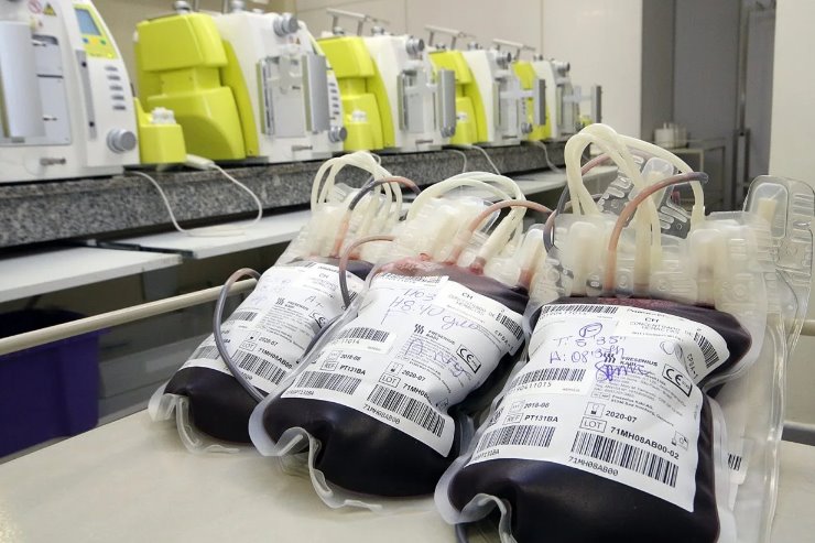 Imagem: Uma única bolsa de sangue pode salvar até quatro vidas