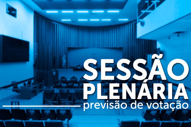 Imagem: Sessão plenária é realizada a partir das 9h com abertura para participação presencial e com transmissão ao vivo 