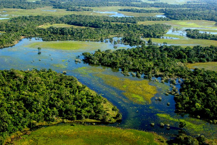 Imagem: Vista aérea do Pantanal, a maior planície inundada do mundo; bioma é reconhecido pela Unesco como Patrimônio da Humanidade