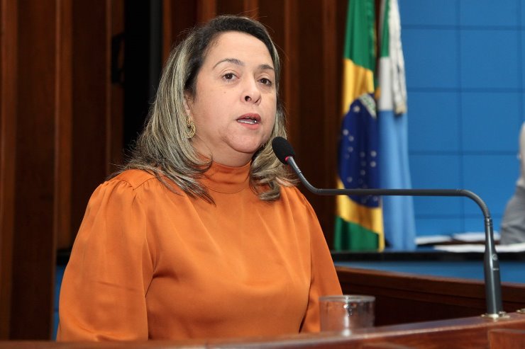 Imagem: Lia Nogueira abordou duas questões nesta terça-feira, durante a sessão plenária