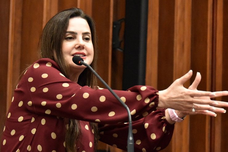 Imagem: Na tribuna, a deputada Mara Caseiro criticou ações da concessionária CCR MSVia
