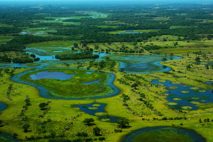 Imagem: A importância da preservação ambiental passa por Mato Grosso do Sul e pelo nosso Pantanal