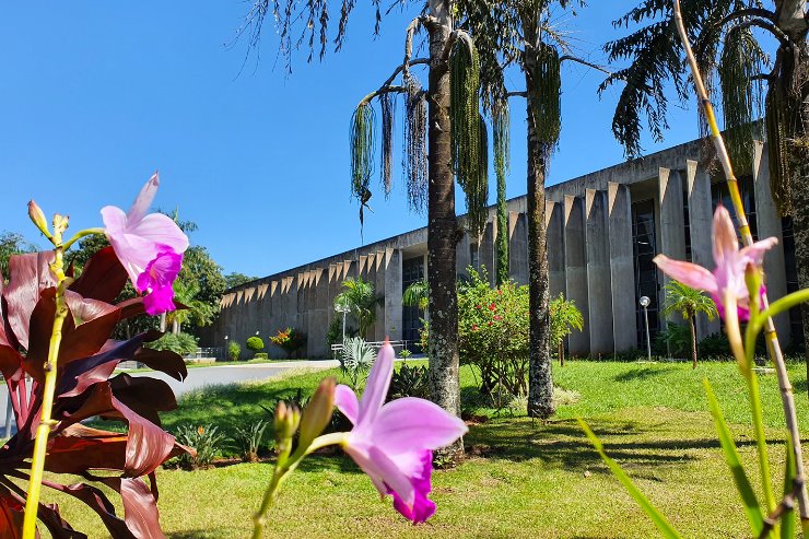 Imagem: A Assembleia Legislativa é localizada no Parque dos Poderes, Bloco 9, Jardim Veraneio