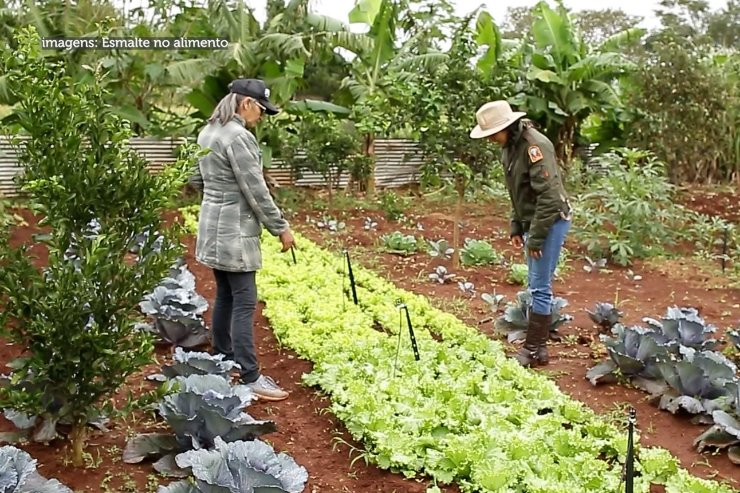 Imagem: Documentário ‘Esmalte no alimento’ conta história de 5 mulheres produtoras no Assentamento Itamarati