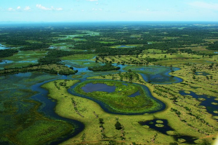 Imagem: Pantanal sul-mato-grossense; bioma poderá ser tema de campanha permanente a ser realizada na primeira semana de novembro