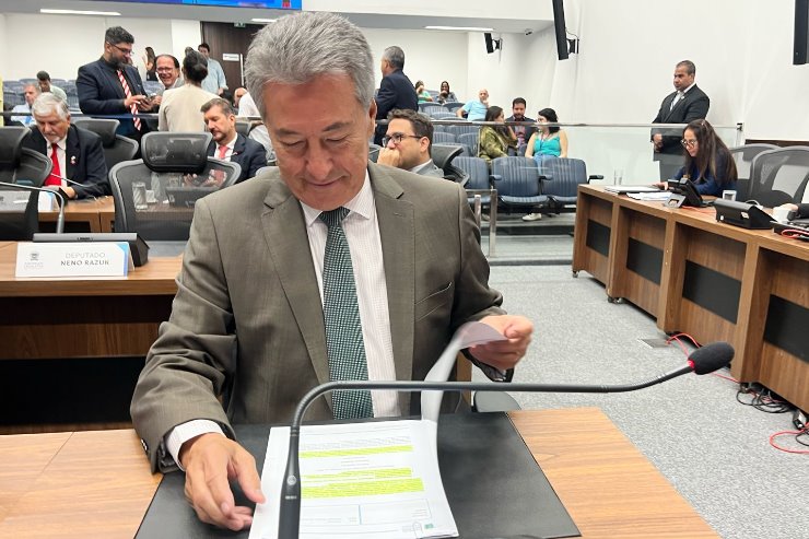 Imagem: O pedido objetiva preservar e valorizar os monumentos que celebram a contribuição histórica e cultural da comunidade japonesa em Campo Grande