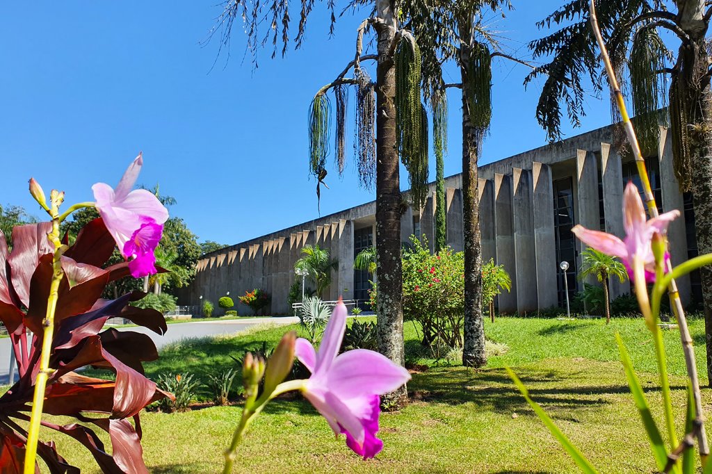 Imagem: Diversas atividades previstas na agenda da semana da Assembleia Legislativa, localizada no Parque dos Poderes