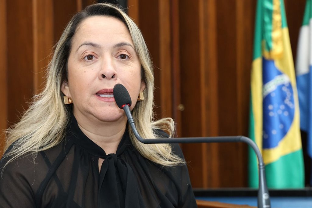 Imagem: Para a deputada Lia Nogueira, o enfrentamento desse problema exige atuação firme e articulada da ALEMS