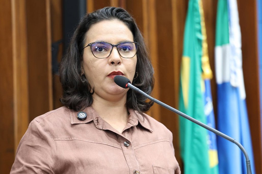 Imagem: Dia estadual reforça luta pela dignidade, formalização e reconhecimento dos direitos trabalhistas desses trabalhadadores