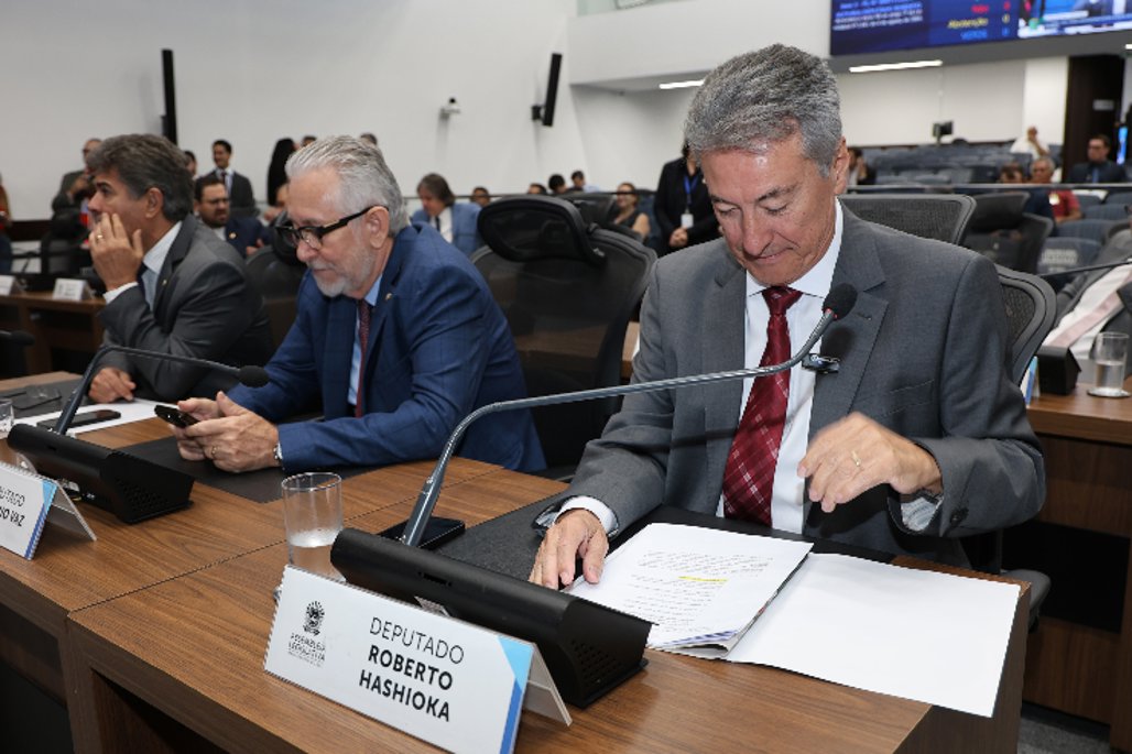 Imagem: A MS-141 é uma via de grande importância econômica e social para a região, pois interliga o município de Ivinhema a polos produtivos e a outras rodovias estaduais