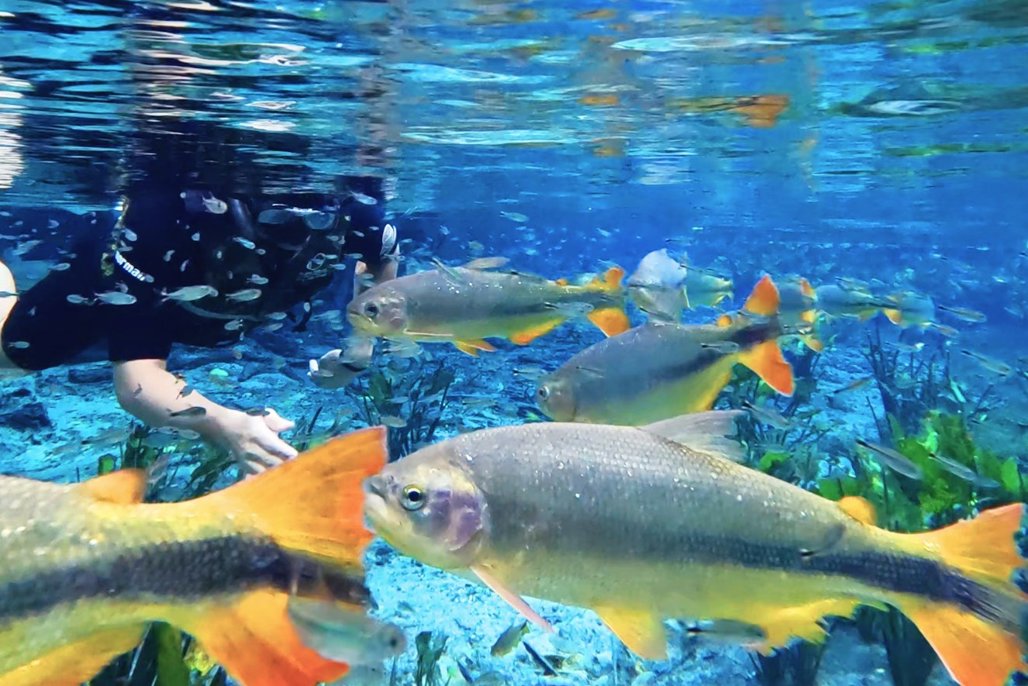 Imagem: O material destaca iniciativas que fortalecem a economia local, ampliam a geração de empregos e estimulam um turismo responsável