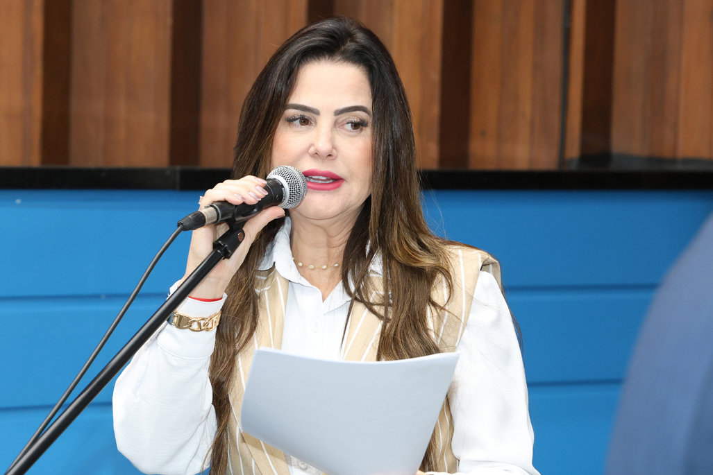 Deputada Mara Caseiro é a autora do projeto de lei (Foto: Wagner Guimarães)