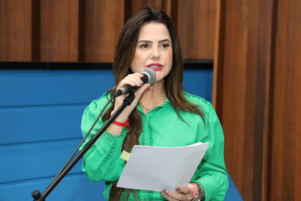 Deputada Mara Caseiro justificou projeto
