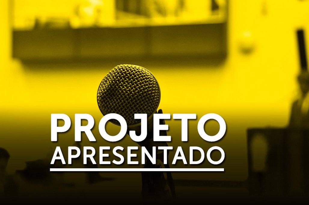Projeto cria incentivo para entidades que atendem mulheres vítimas de violência