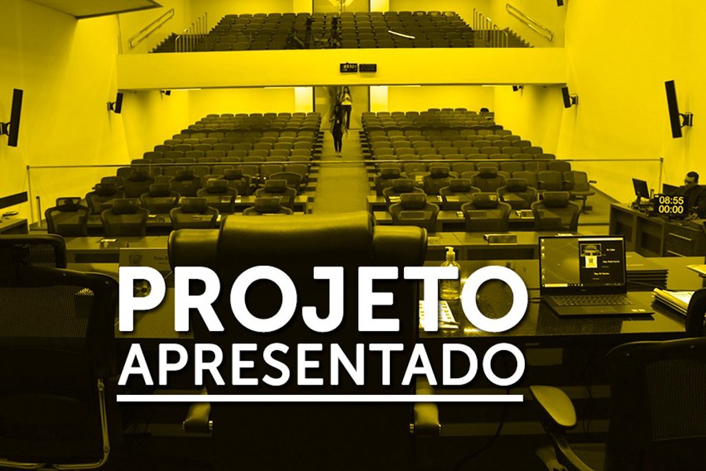 Projeto de Lei busca integrar MP e Defensoria em registros de nascimento sem paternidade