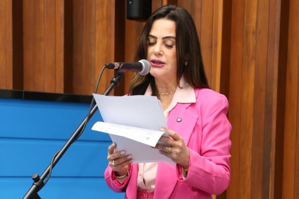 Para Mundo Novo, Mara Caseiro solicita recursos para construção de ponte entre bairros