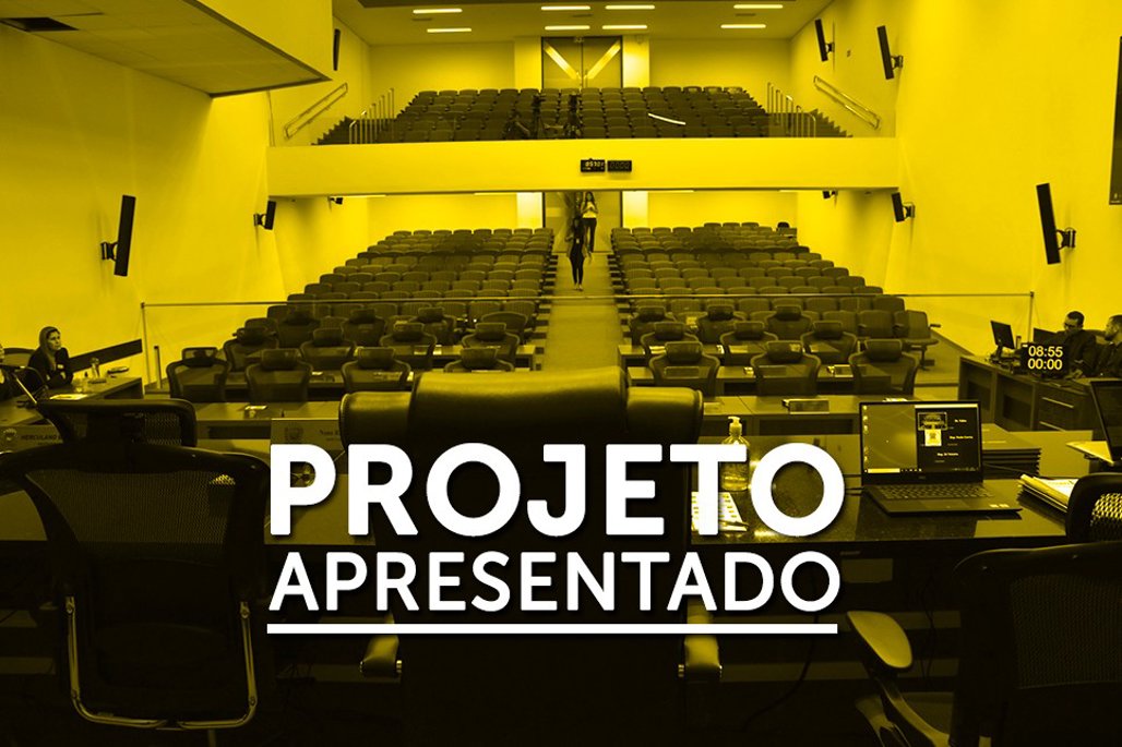 Associação Atlética Escolinha do Pezão pode ser declarada entidade de utilidade pública