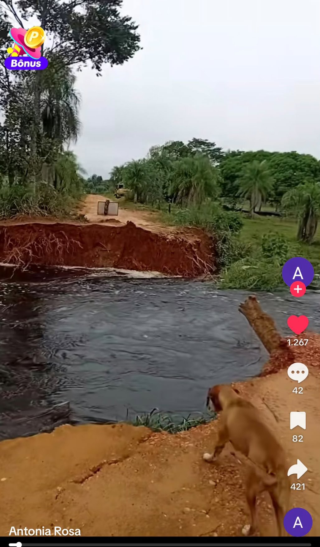 print do vídeo no TikTok