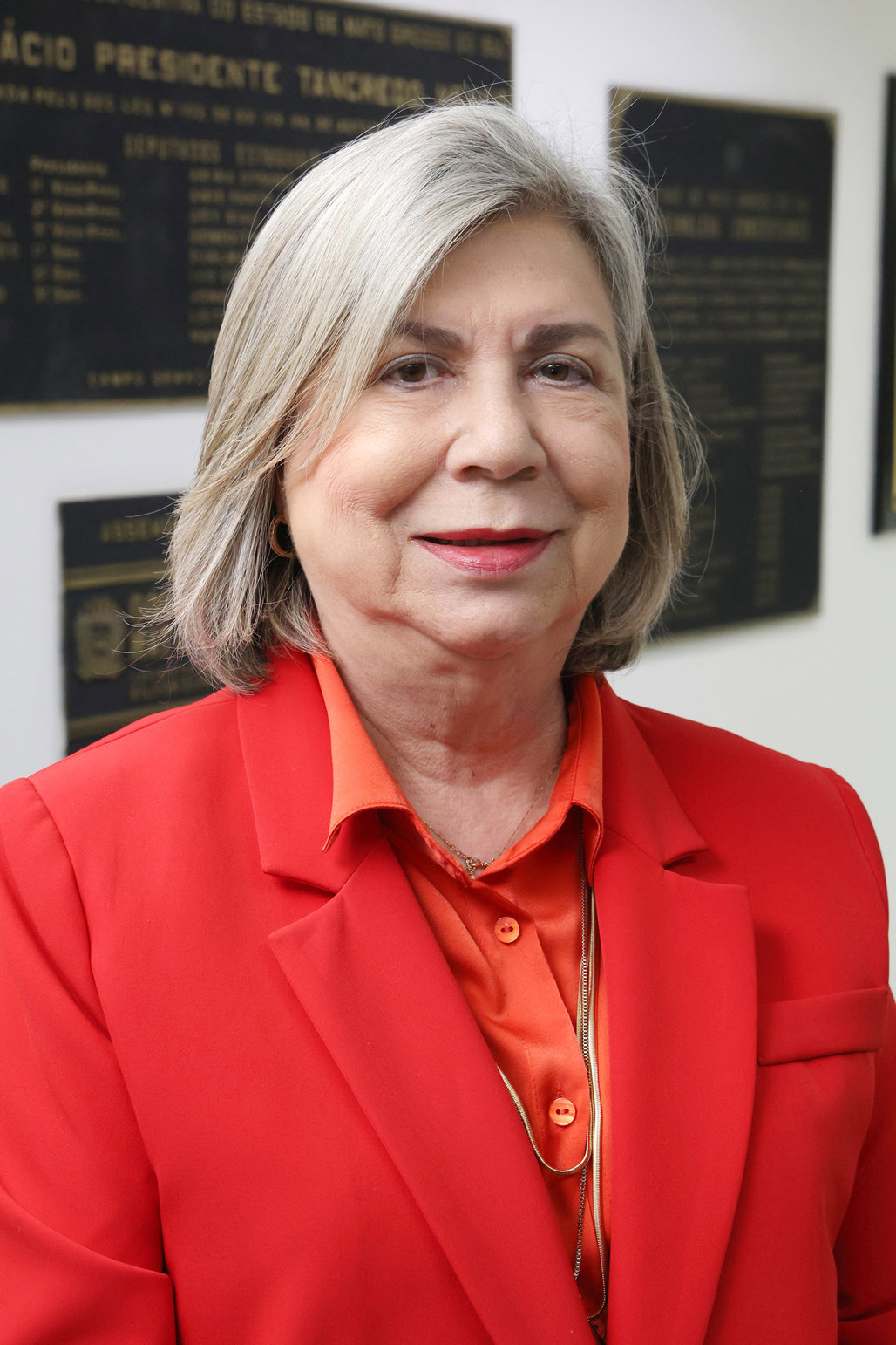 Marlene Figueira destacou complexidade da etapa