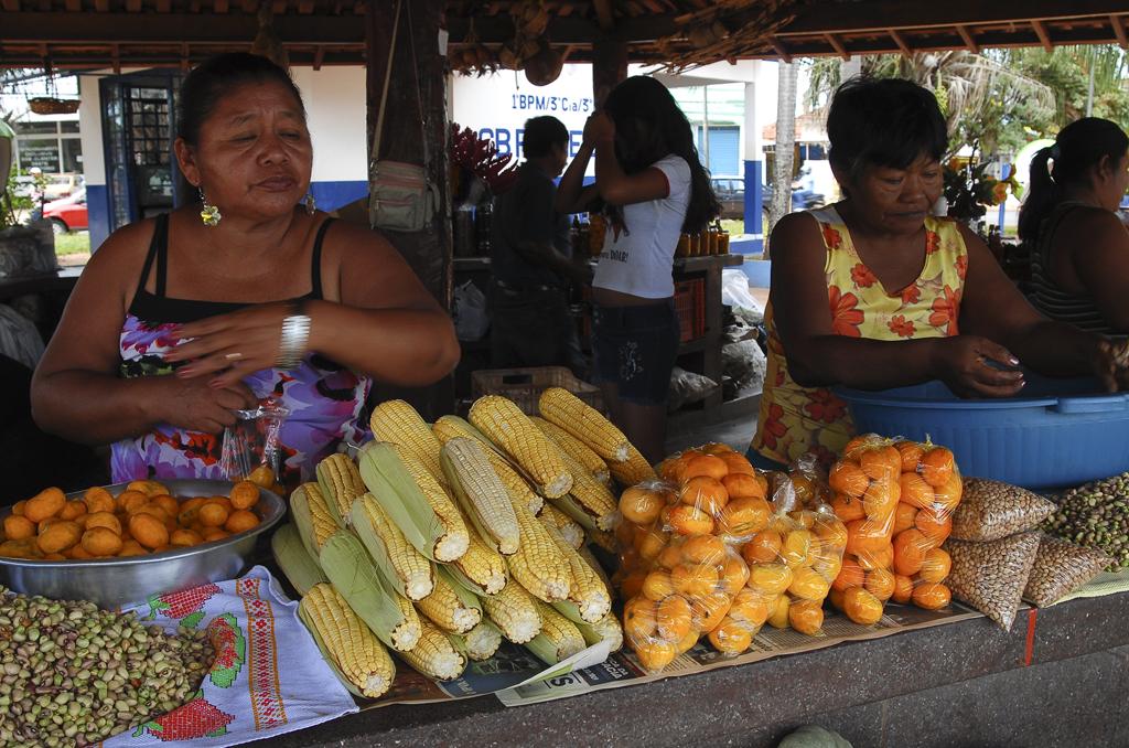 Imagem: As leis que estipulam 10% e 3% de vagas, respectivamente, para negros e índios, foram aprovadas pela ALMS.