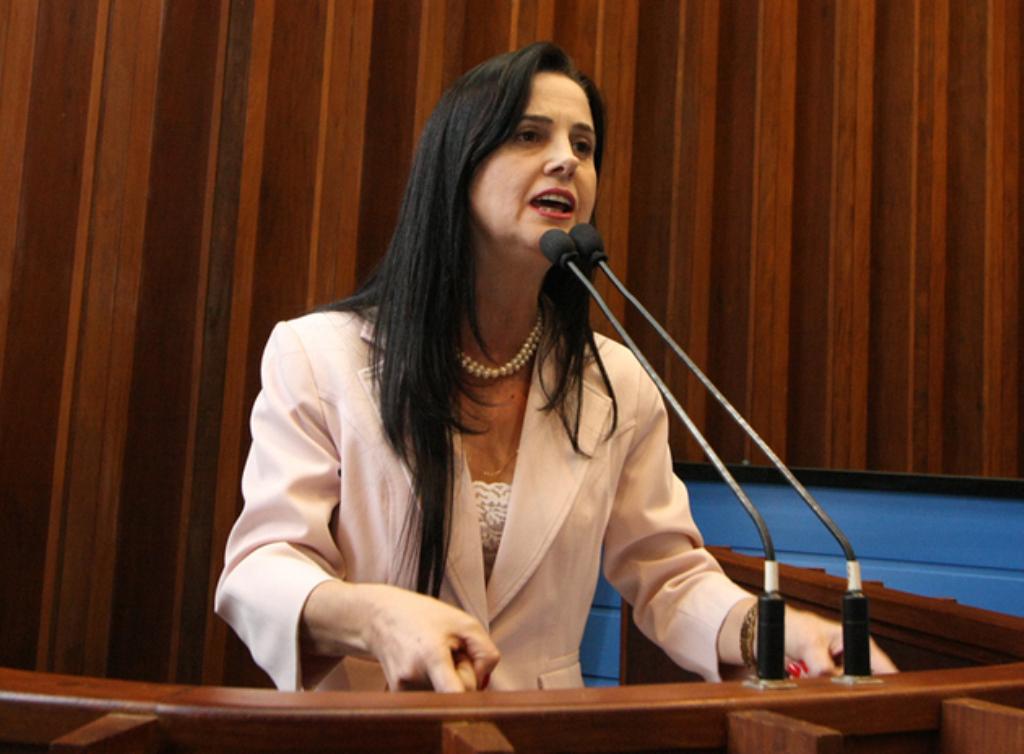Imagem: Mara Caseiro comandará audiência pública