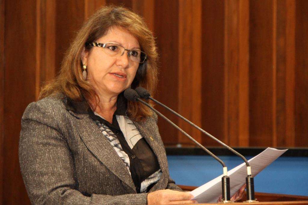 Imagem: Deputada Dione Hashioka, propositora da audiência pública, integra Comissão de Saúde da Assembleia.