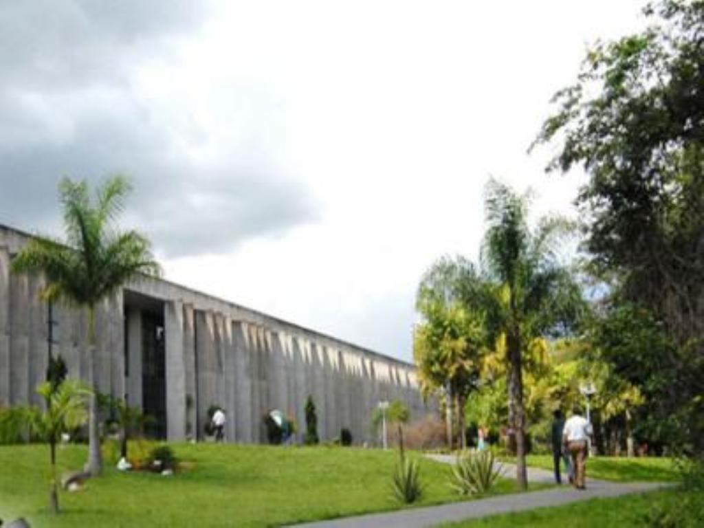 Imagem: Assembleia Legislativa de Mato Grosso do Sul.