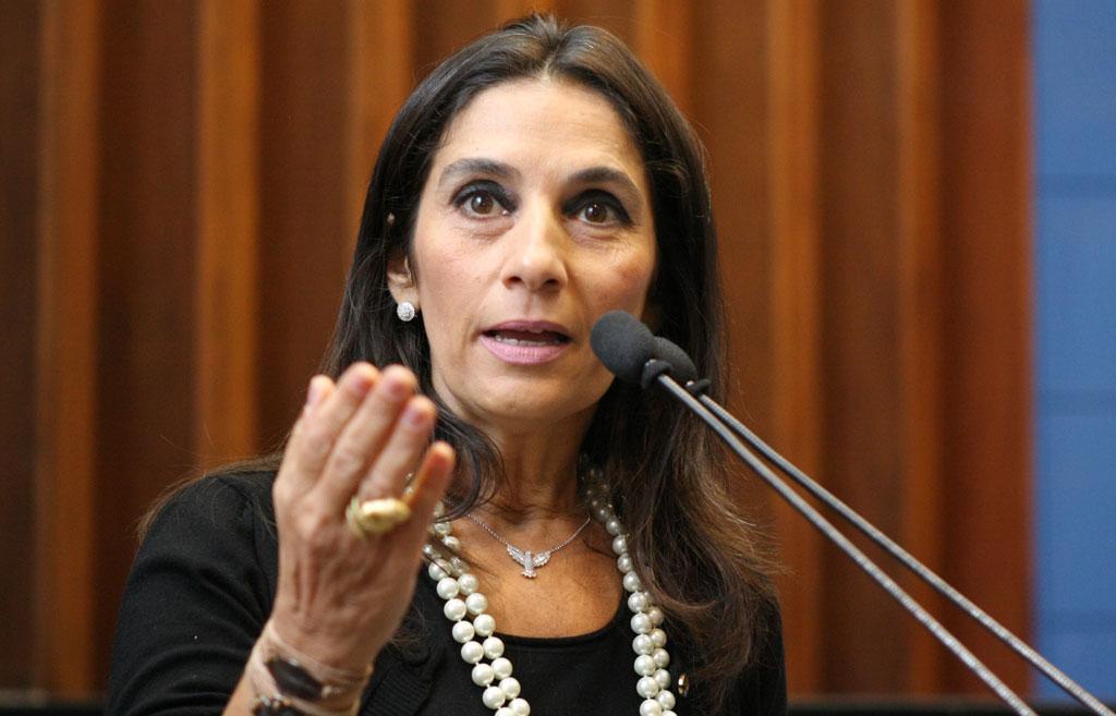 Imagem: Carla Stephanini disse que teve que acionar a bancada federal de MS para inserir o estado nas conferências regionais.