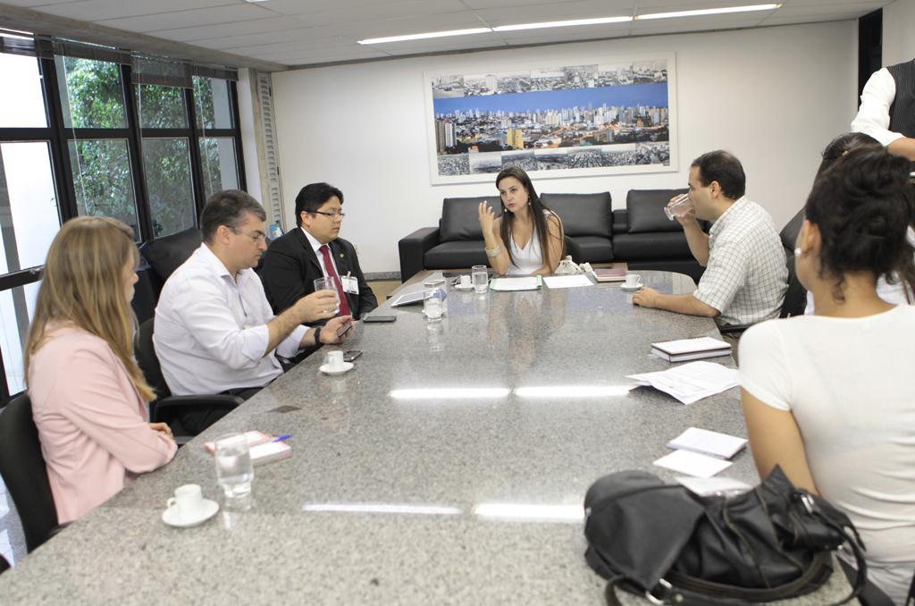 Imagem: Mara Caseiro comandou reunião sobre comércio eletrônico.