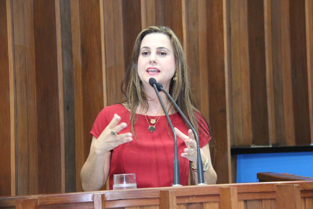 Imagem: Deputada Mara Caseiro deve articular audiência pública para discutir questão das invasões