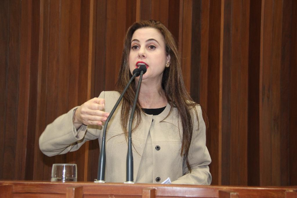 Imagem: Mara Caseiro voltou a tribuna para falar sobre a questão da demarcação