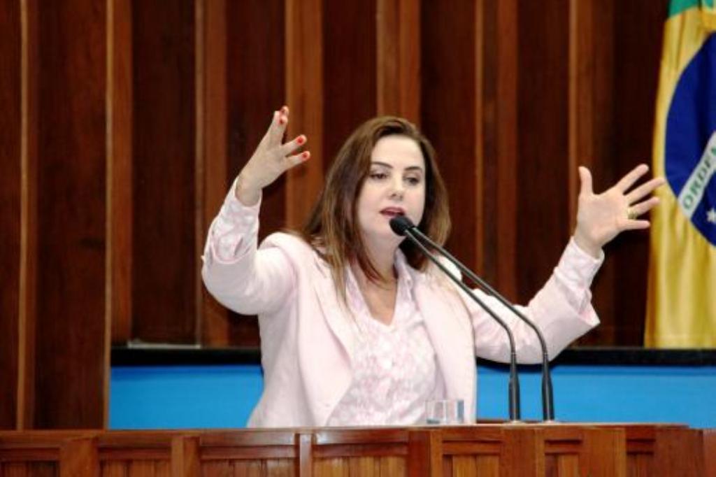 Imagem: Mara Caseiro é contra a realização do plebiscito no Brasil