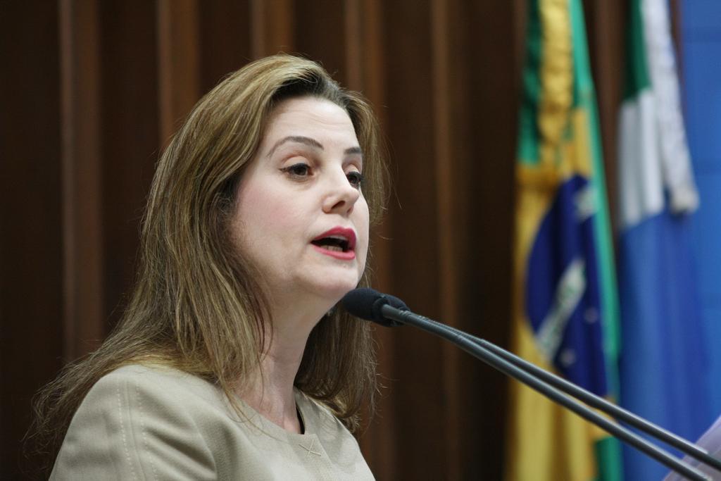 Imagem: Projeto é de autoria da deputada Mara Caseiro, 3ª vice-presidente da ALMS.