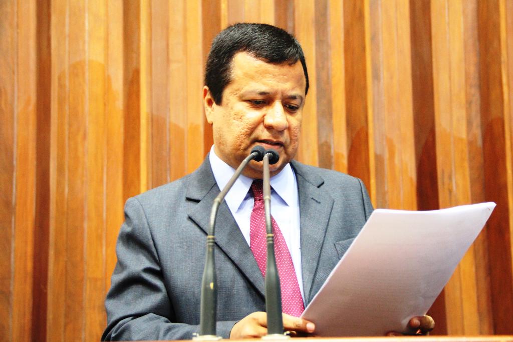 Imagem: Deputado Amarildo Cruz durante sessão de hoje na Assembleia Legislativa