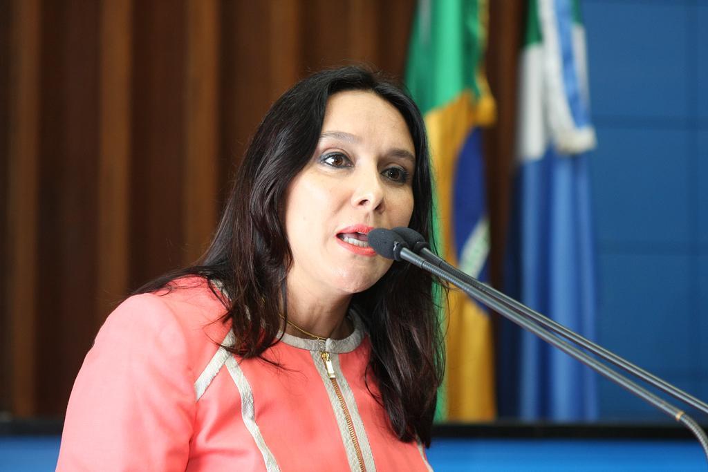 Imagem: Tatiana Ujacow defende a derrubada do veto ao Projeto de Lei 79/2013.