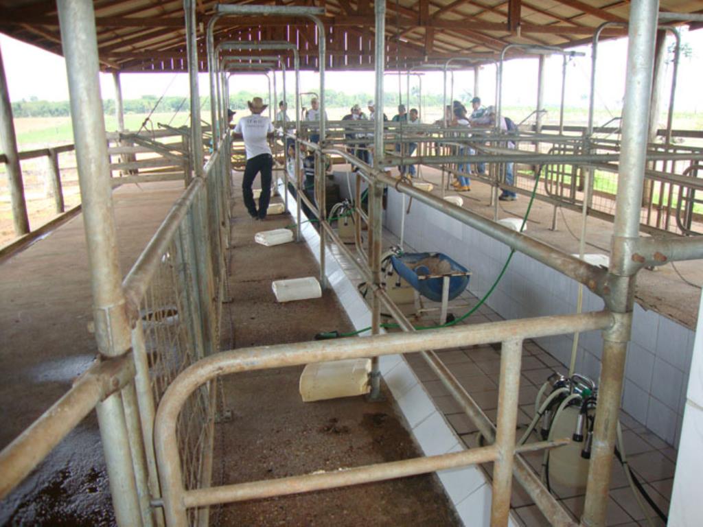 Imagem: Curso atenderia anseio da população rural do município, uma vez que aumentará a produtividade do gado leiteiro.