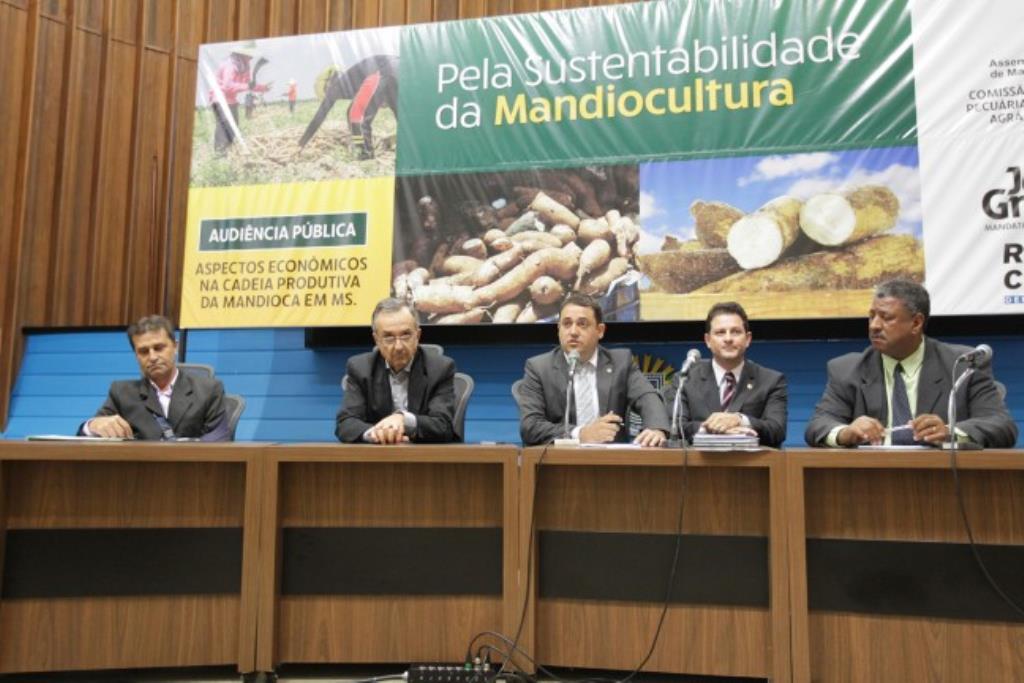 Imagem: Comissão de Agricultura debate crise da mandioca em audiência