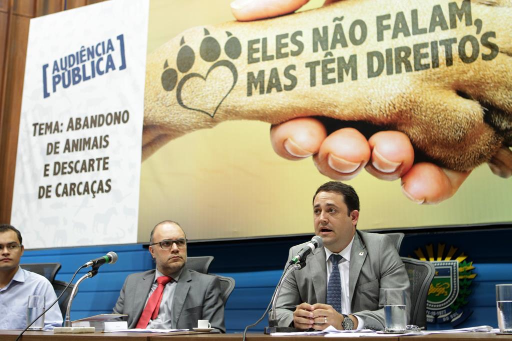 Imagem: Marcio Fernandes propõe   regularização das leis existentes, apoio da população e poder público.  