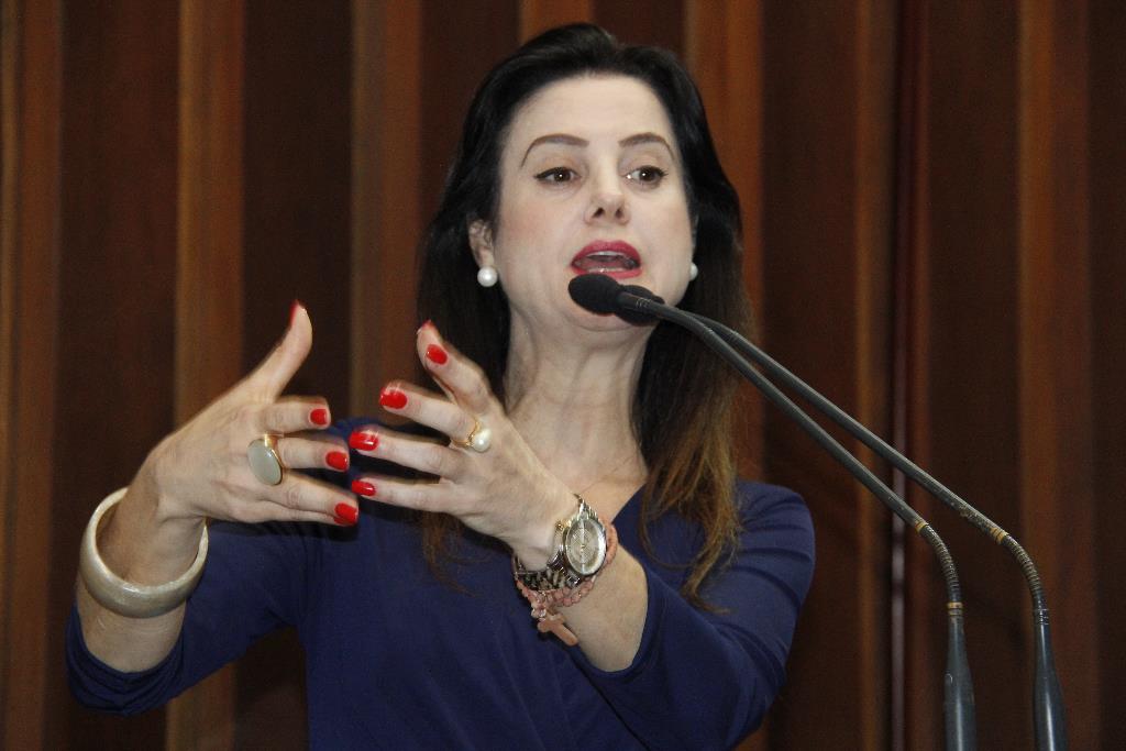 Imagem: Mara Caseiro vai a tribuna falar sobre a reunião com o Ministro da Justiça