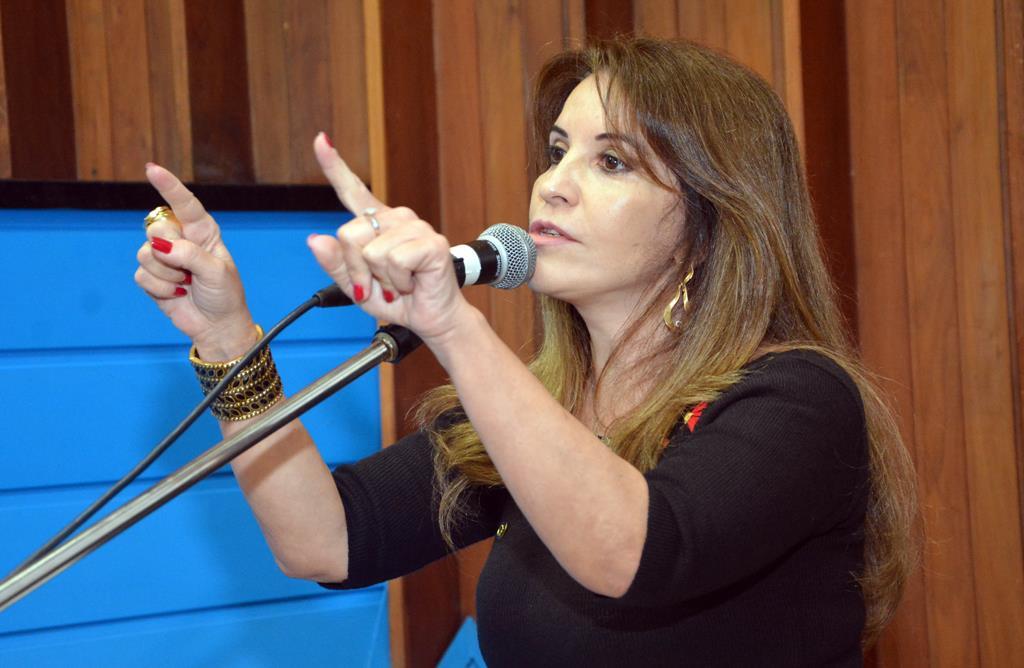 Imagem: Frente Parlamentar de combate à violência é criada na Assembleia Legislativa.